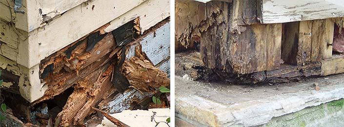 Rotten Wood Work 2