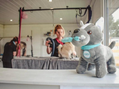 Dog Groomers Garden Room Salon